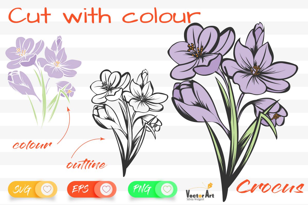 Crocus Flower - Cut File with 2 Layers example image 1