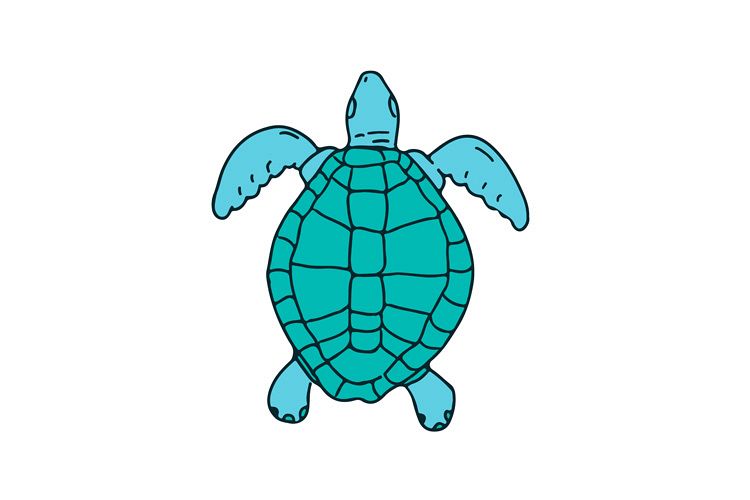 Sea Turtle Swimming Drawing example image 1