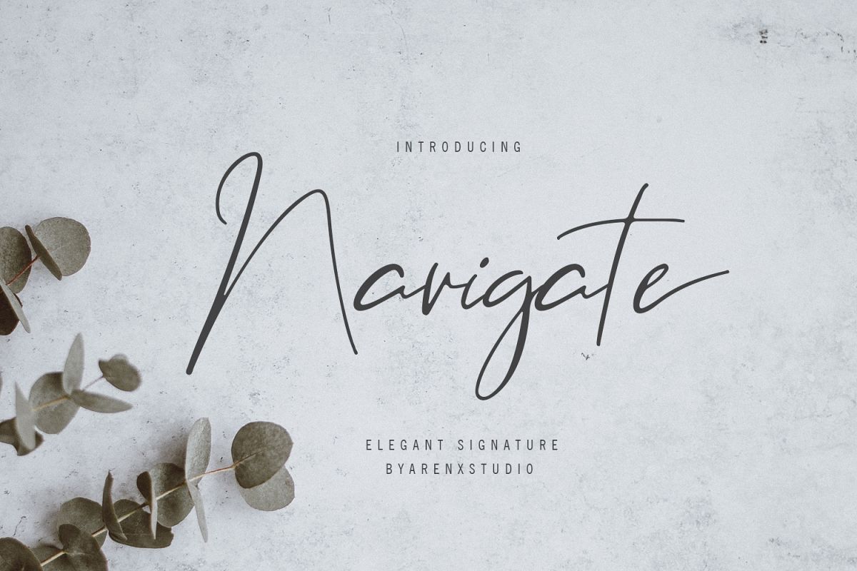 Navigate Elegant Signature example image 1
