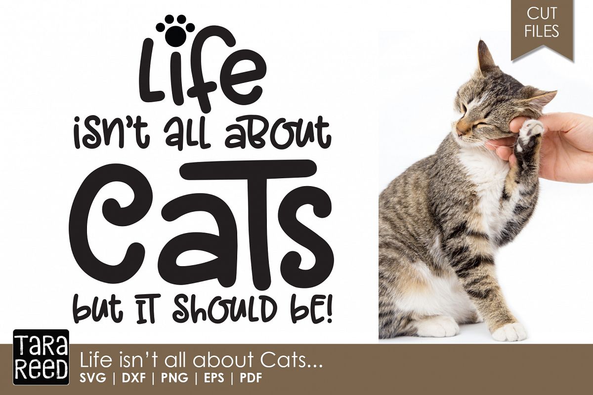 Life isn't all about Cats - Cat SVG and Cut Files example image 1