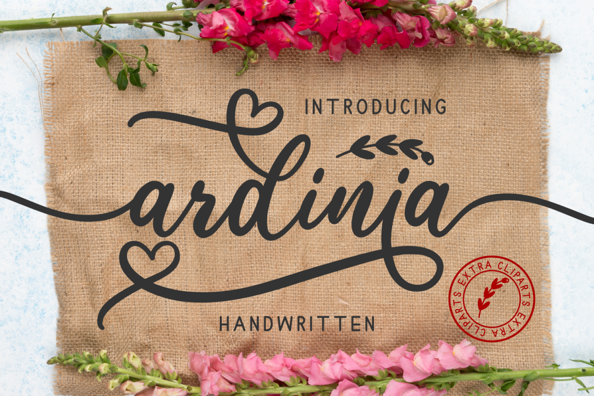Ardinia example image 1