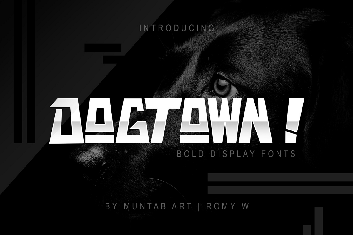 DOGTOWN ! Font | Ungeometric example image 1