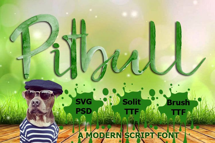 Pitbull example image 1