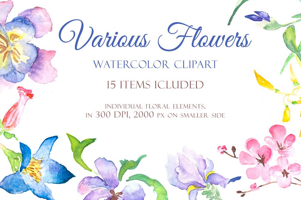 Various Flowers - Handmade floral clip art example image 1