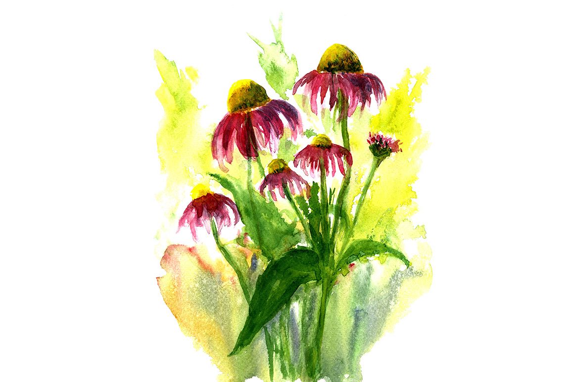 sketch drawing summer flowers example image 1