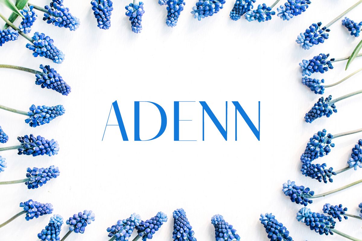 Adenn Sans Serif Typeface example image 1