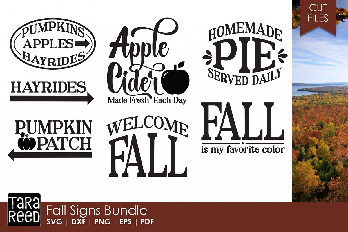 Fall Signs Bundle example image 1