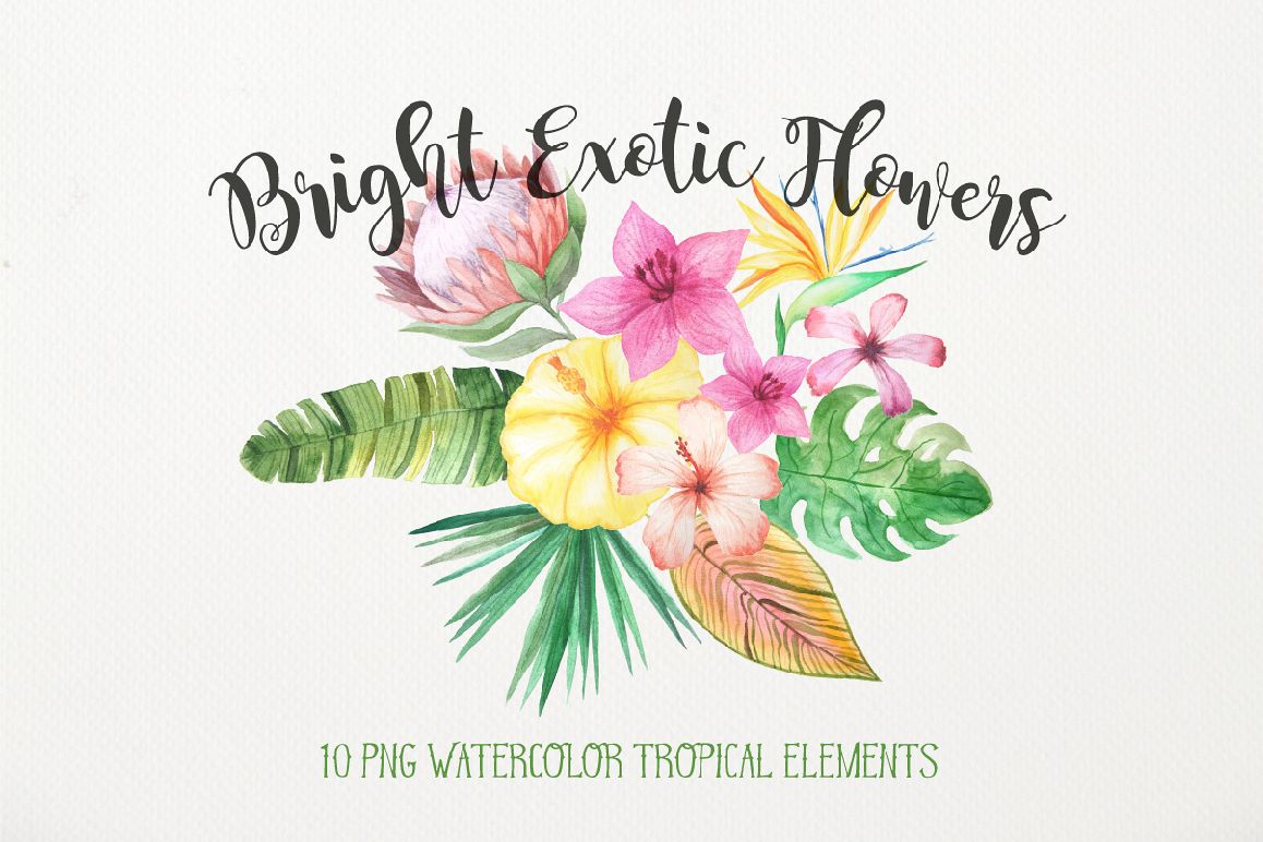 Watercolor Exotic Flowers Mini Set example image 1