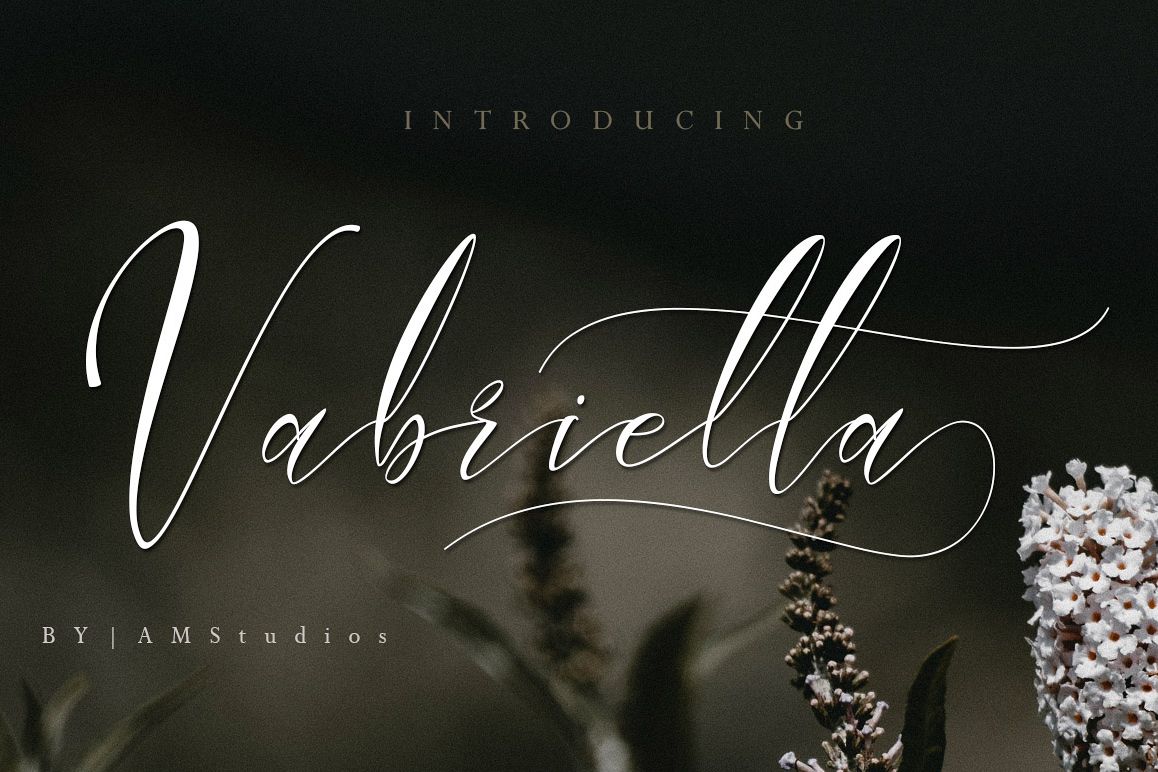 Vabrietta Script example image 1