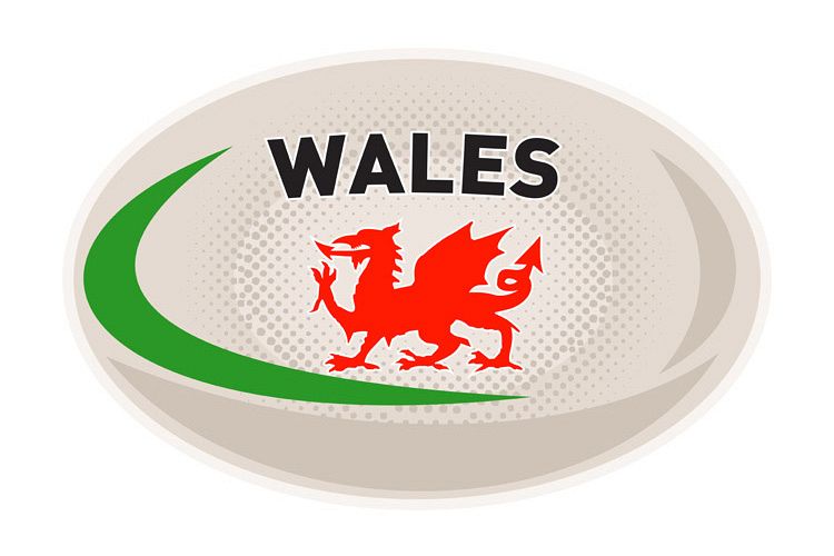 Rugby Ball Wales Welsh dragon example image 1