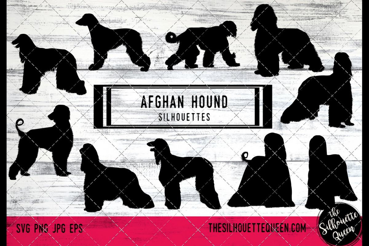 Afghan Hound Dog svg files cricut, silhouette clip art, Vect (138827 ...