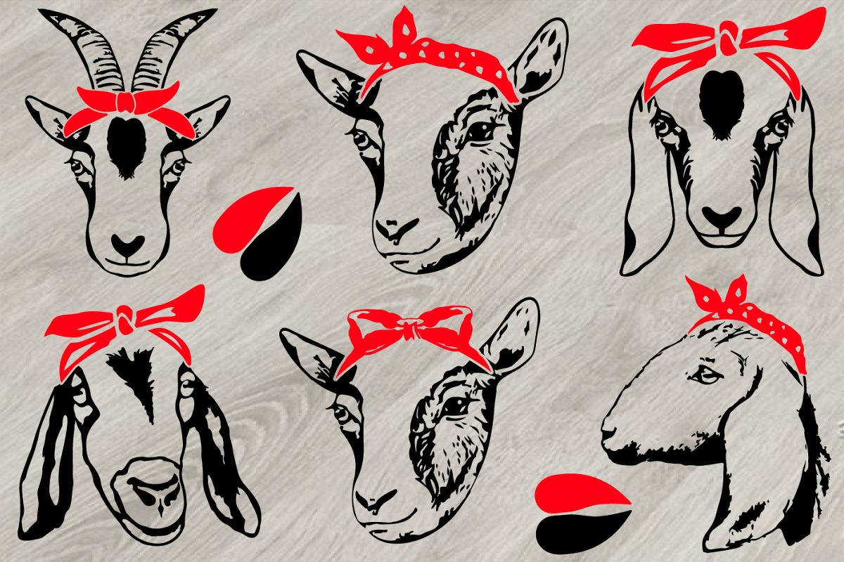 Goat Head whit Bandana SVG, feet goats, Farm Milk 798S