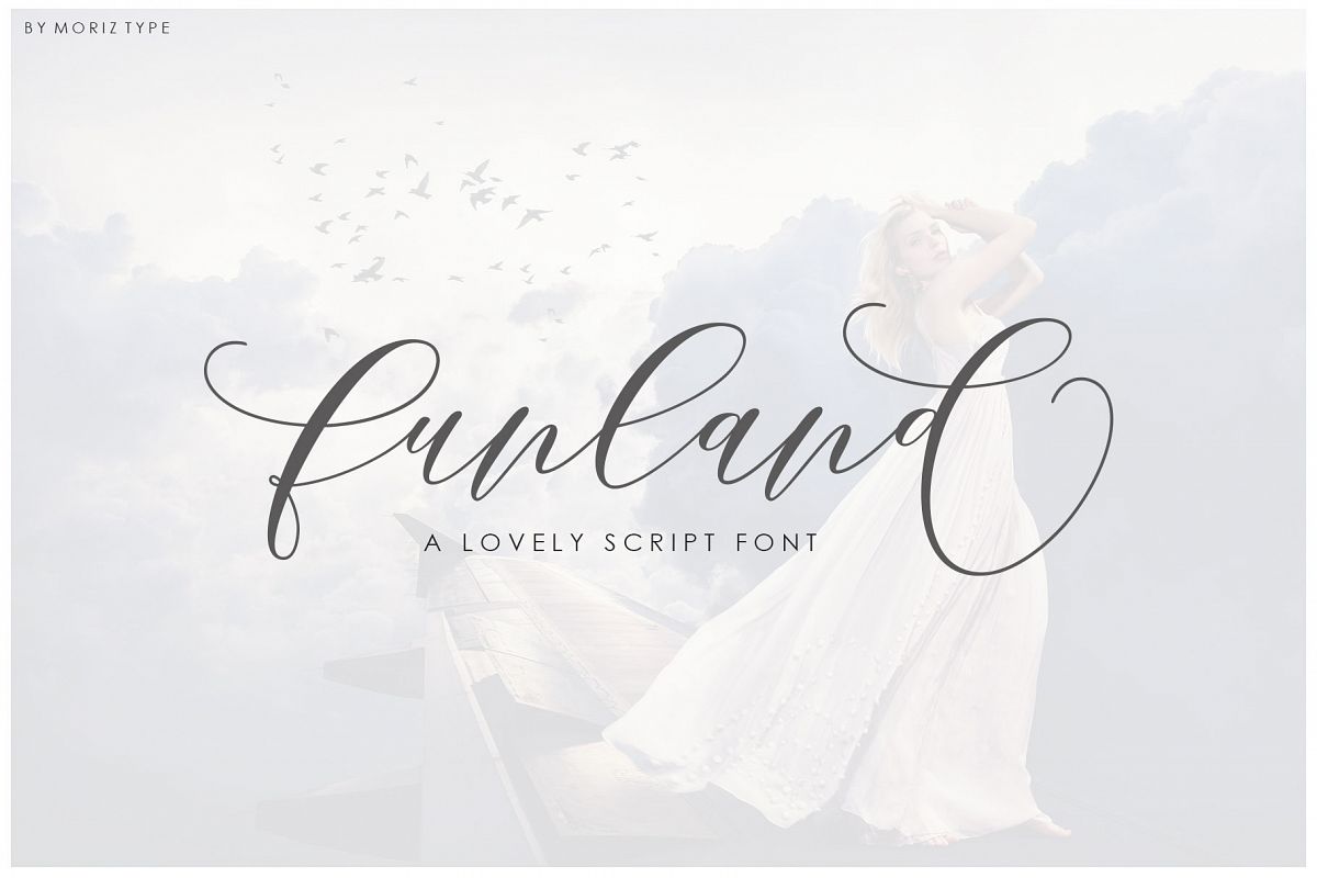 Funland Script example image 1
