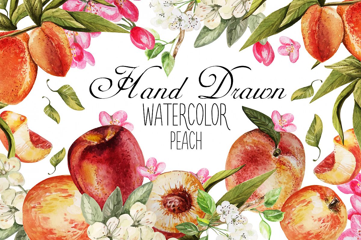 Hand Drawn Watercolor PEACH example image 1