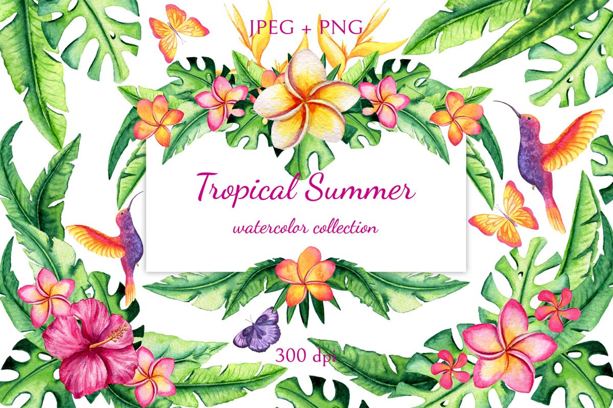 Tropical Summer example image 1