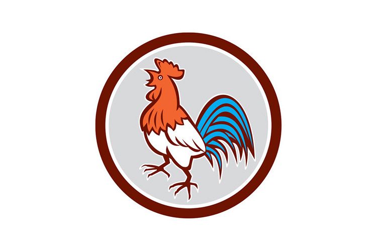 Chicken Rooster Crowing Looking Up Circle Retro example image 1