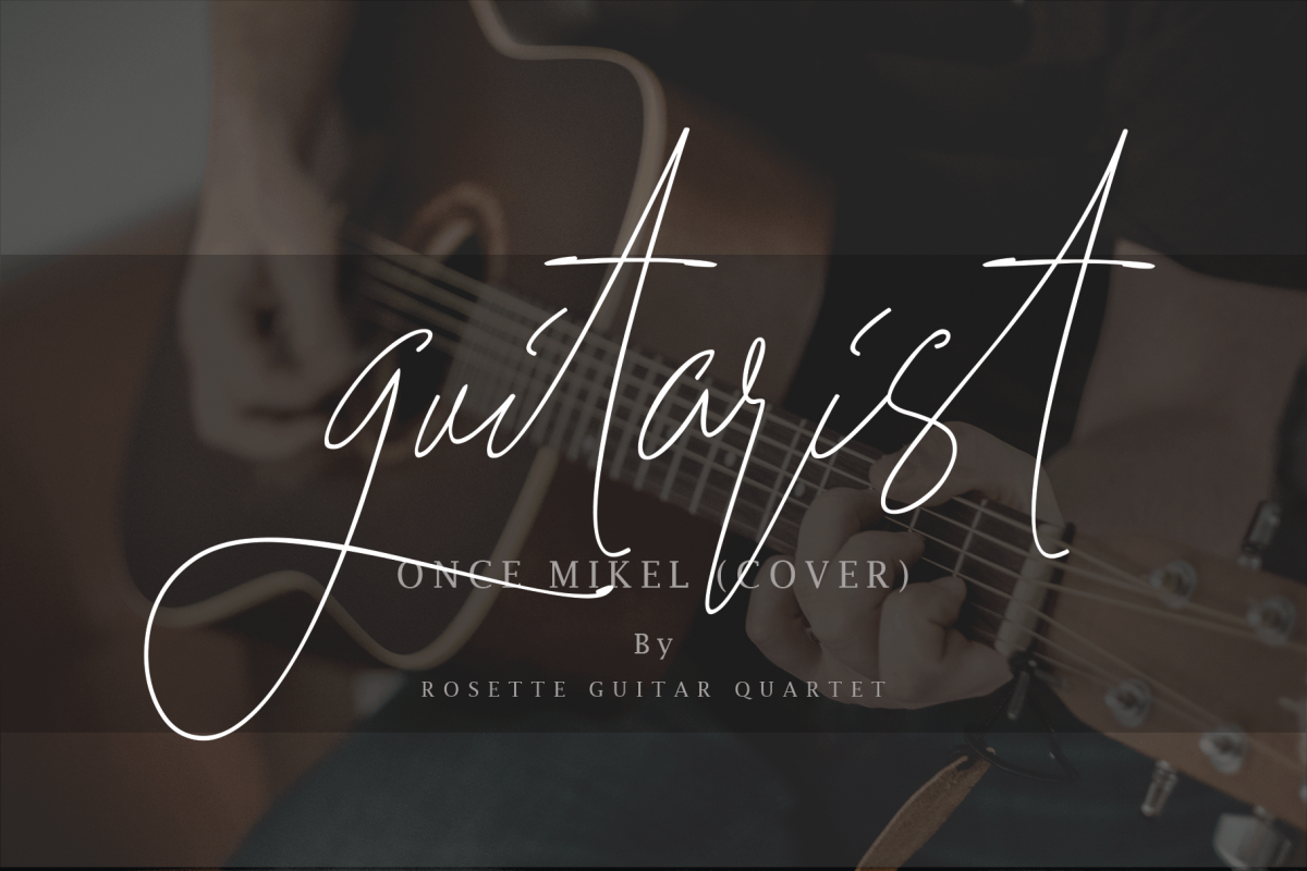 Guitarist example image 1