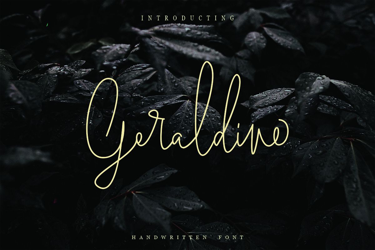 Geraldine | Hand Written Font example image 1