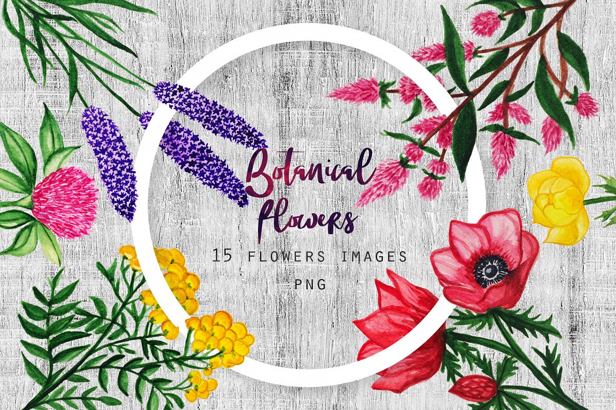 Watercolor Botanical Flowers example image 1