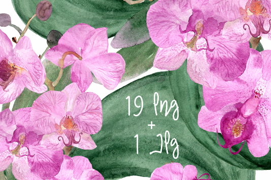 19 Watercolor Orchid Clip Art + Print example image 1