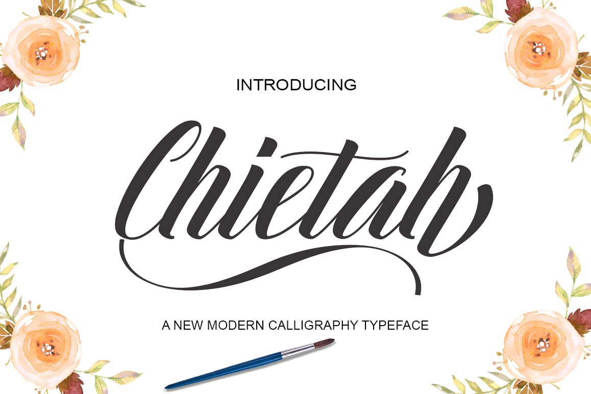 Chietah example image 1
