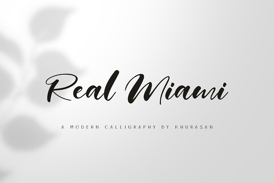 Real Miami Script example image 1