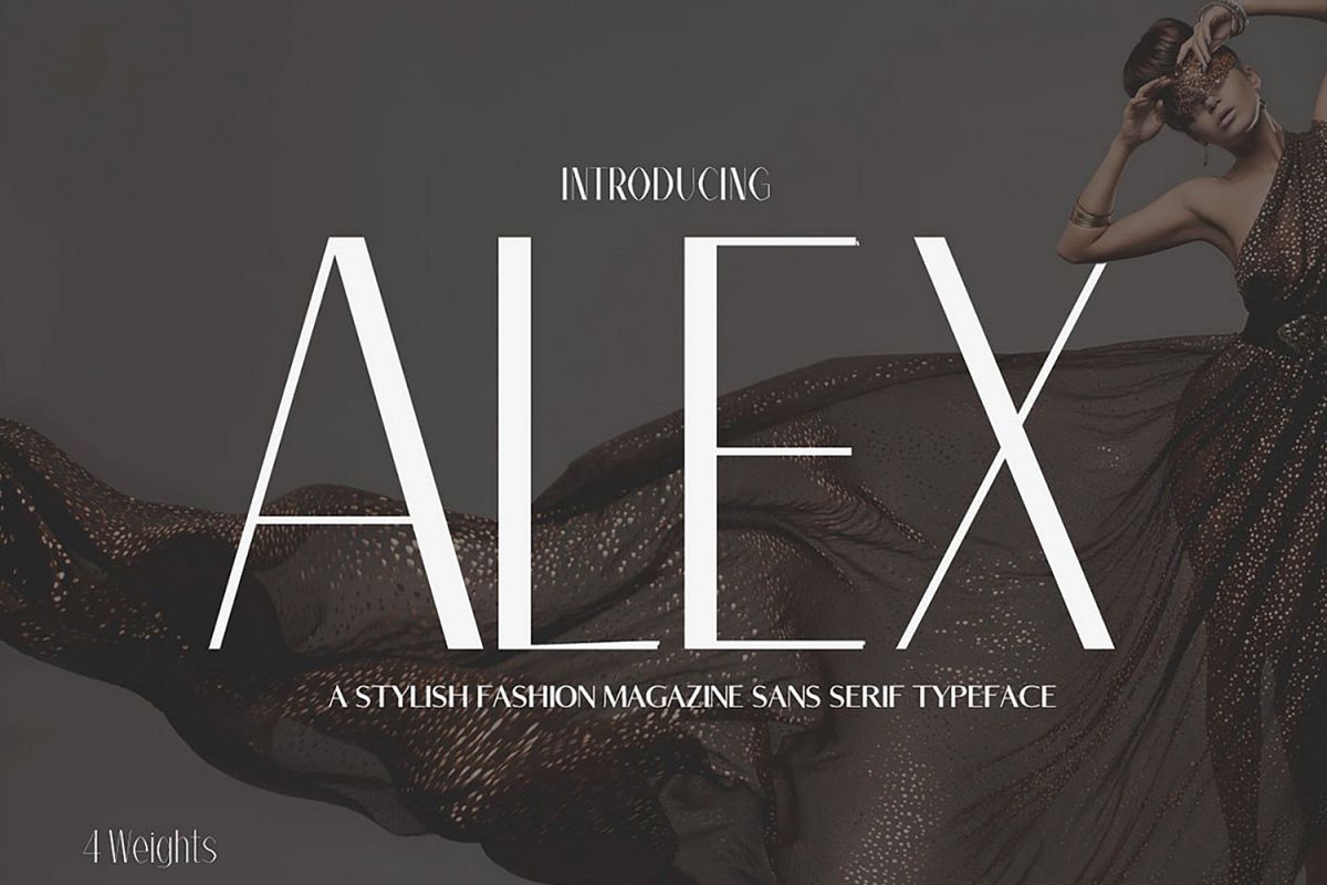 Alex Sans Serif Typeface example image 1