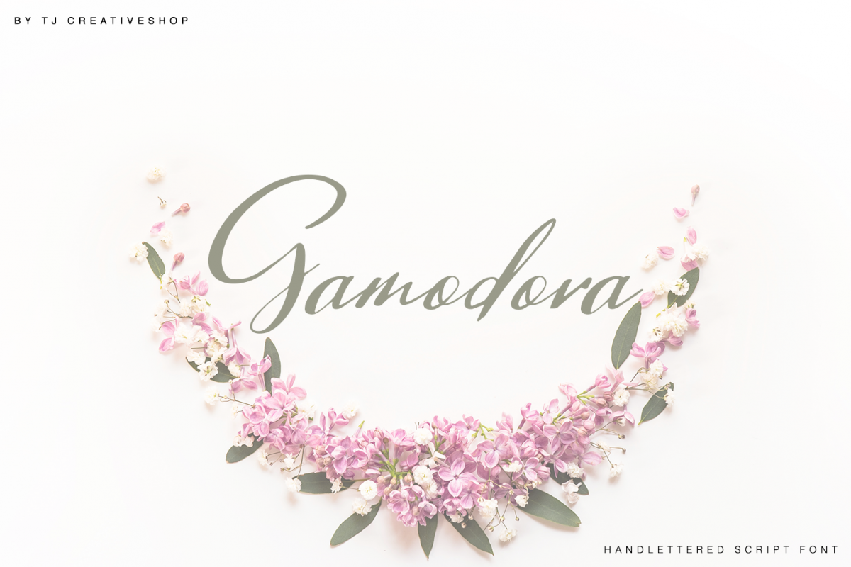 Gamodora example image 1
