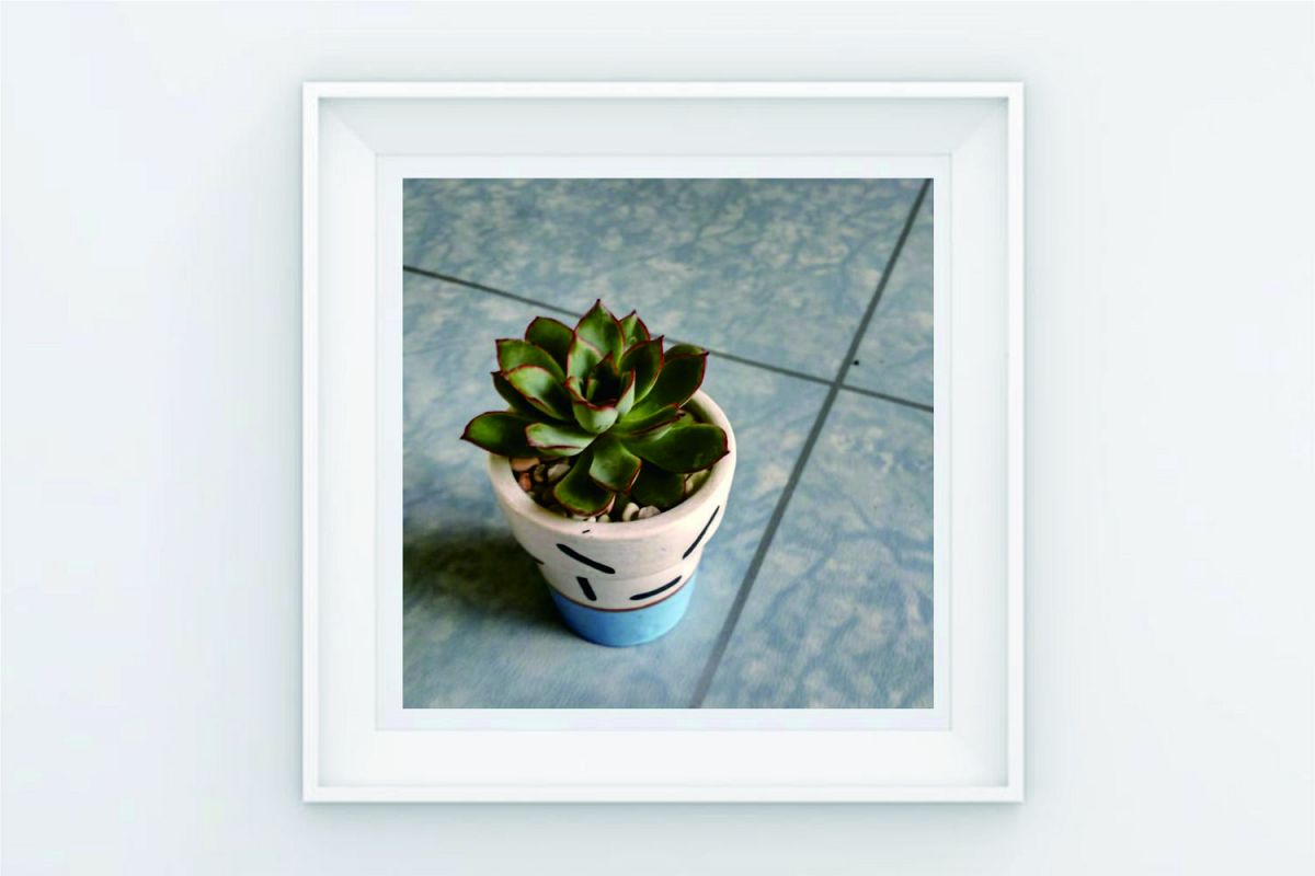 FRAME POSTER SINEL CACTUS example image 1