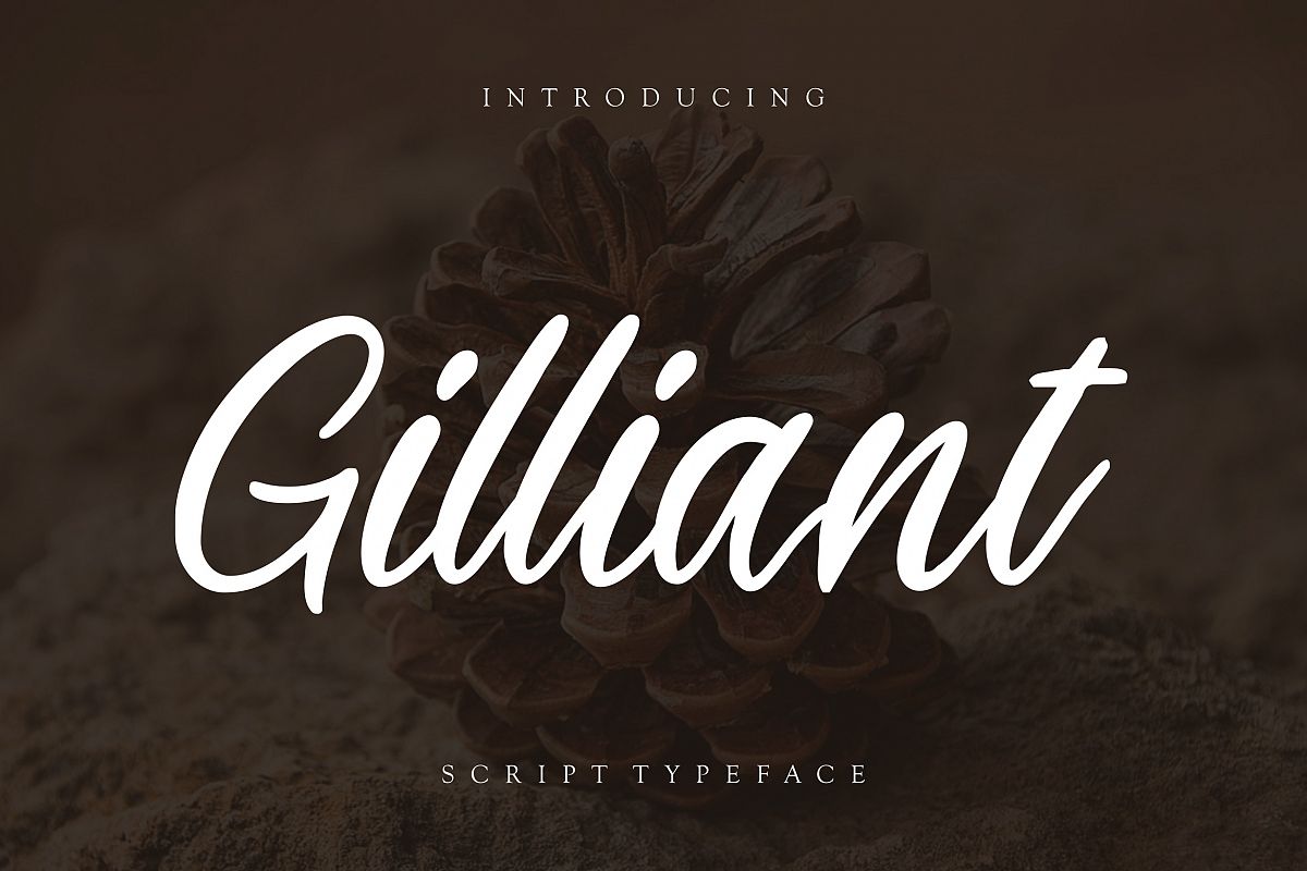 Gilliant Script Typeface example image 1