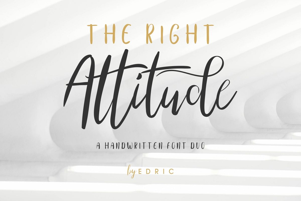 TheRightAttitude example image 1