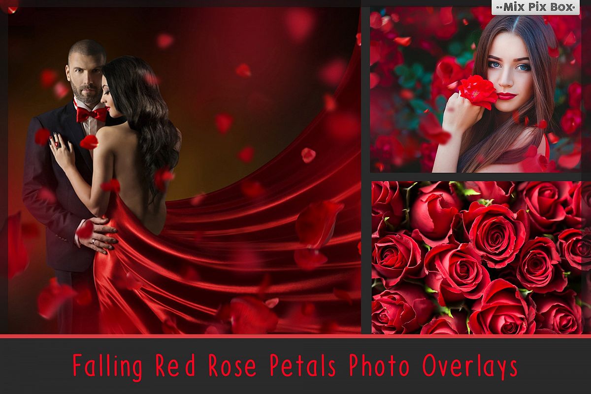 Falling Rose Petals Photo Overlays example image 1