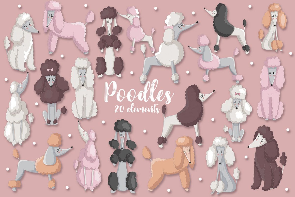 Poodles example image 1