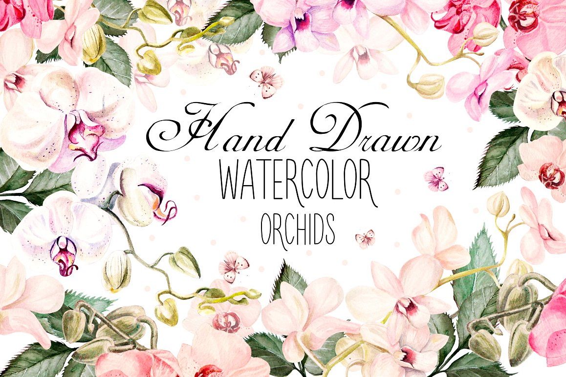 Hand Drawn Watercolor Orchids example image 1