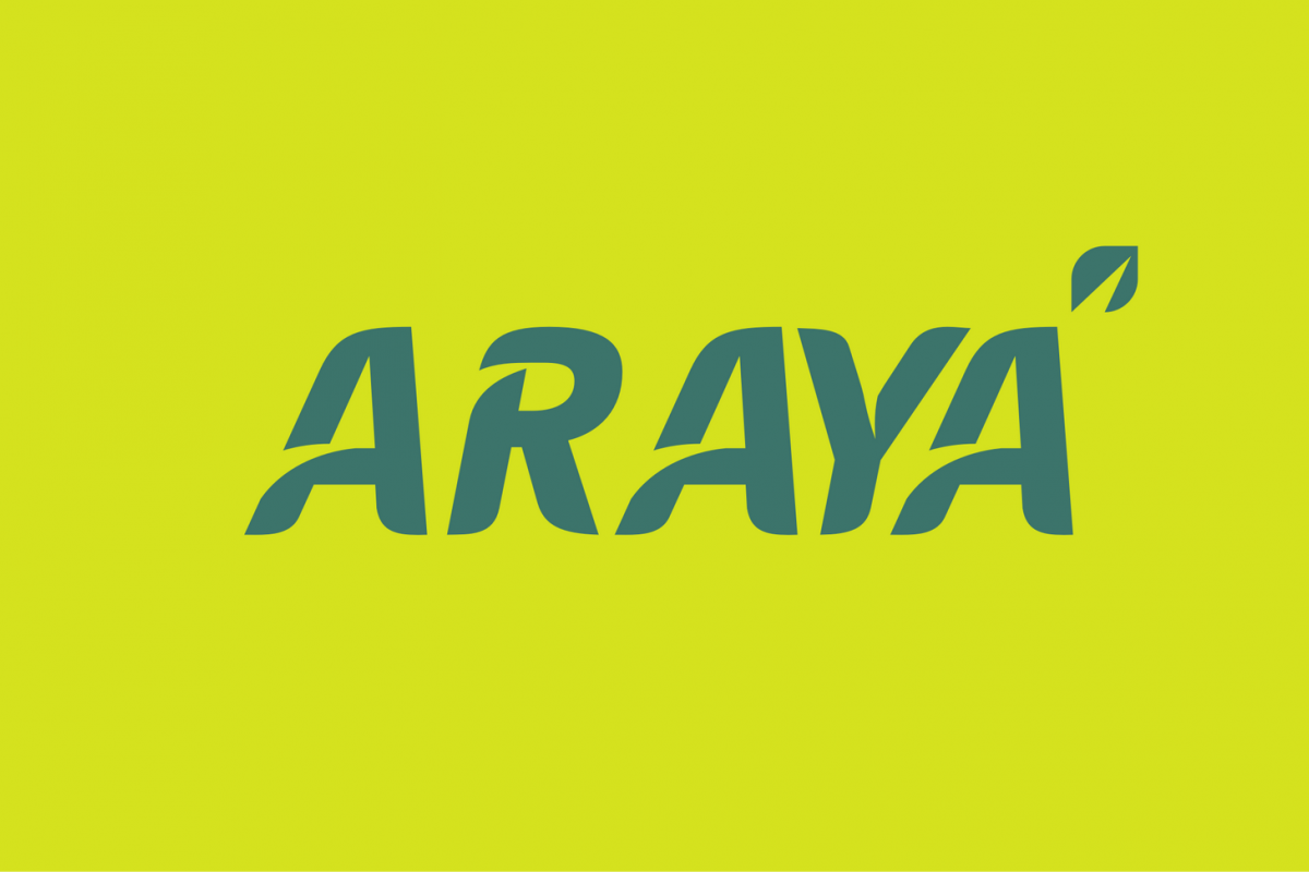 araya font example image 1