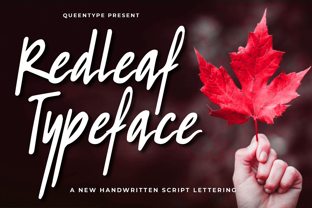 Redleaf Typeface example image 1