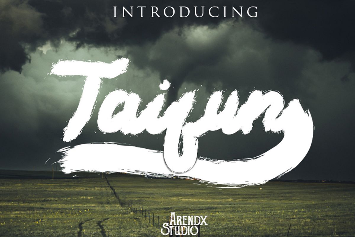 Taifun Brush Font example image 1