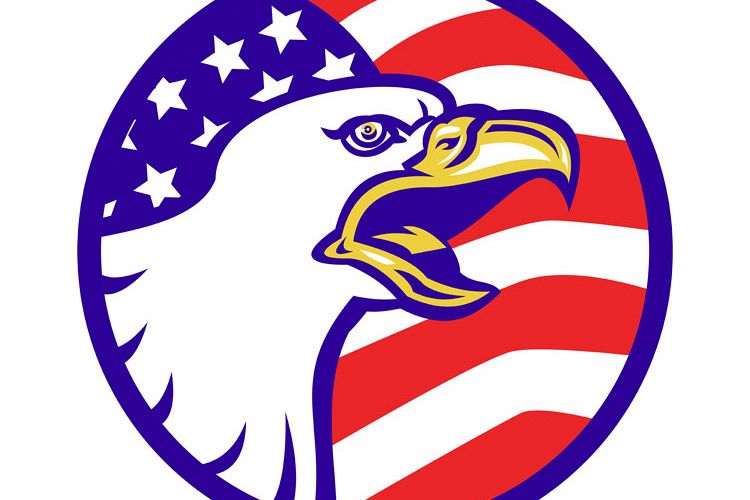 American Bald eagle screaming with USA flag example image 1