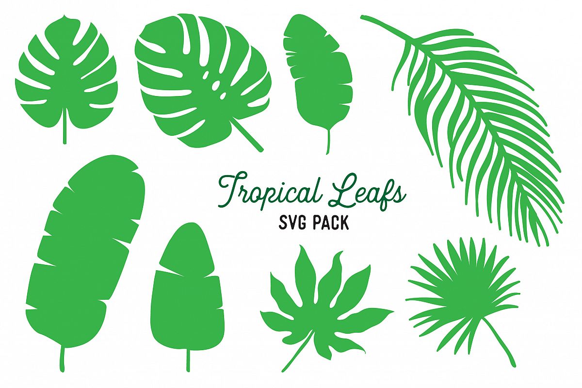 Tropical Leaf Svg Vector Design Bundle Monstera Clipart