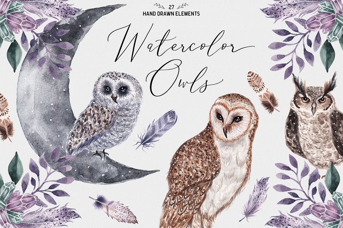 Watercolor Owls example image 1