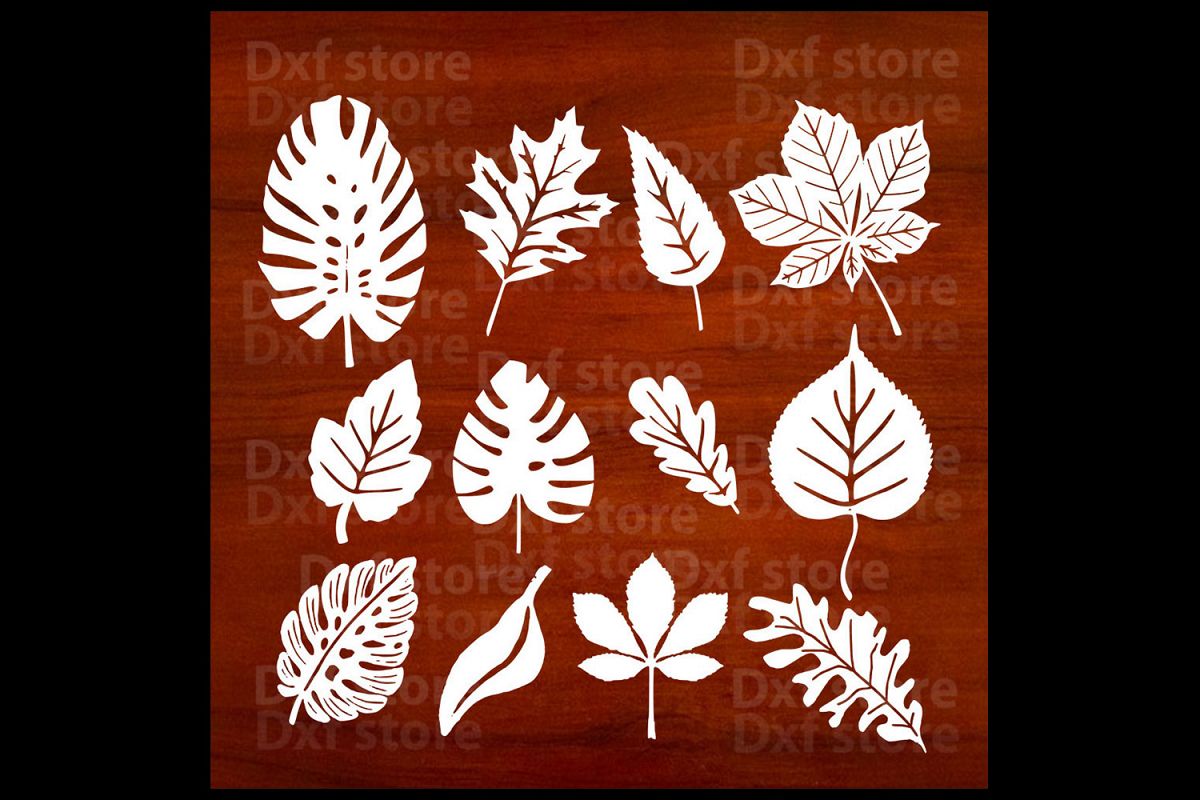 Leafs,Green leaf,Spring,Leaves example image 1