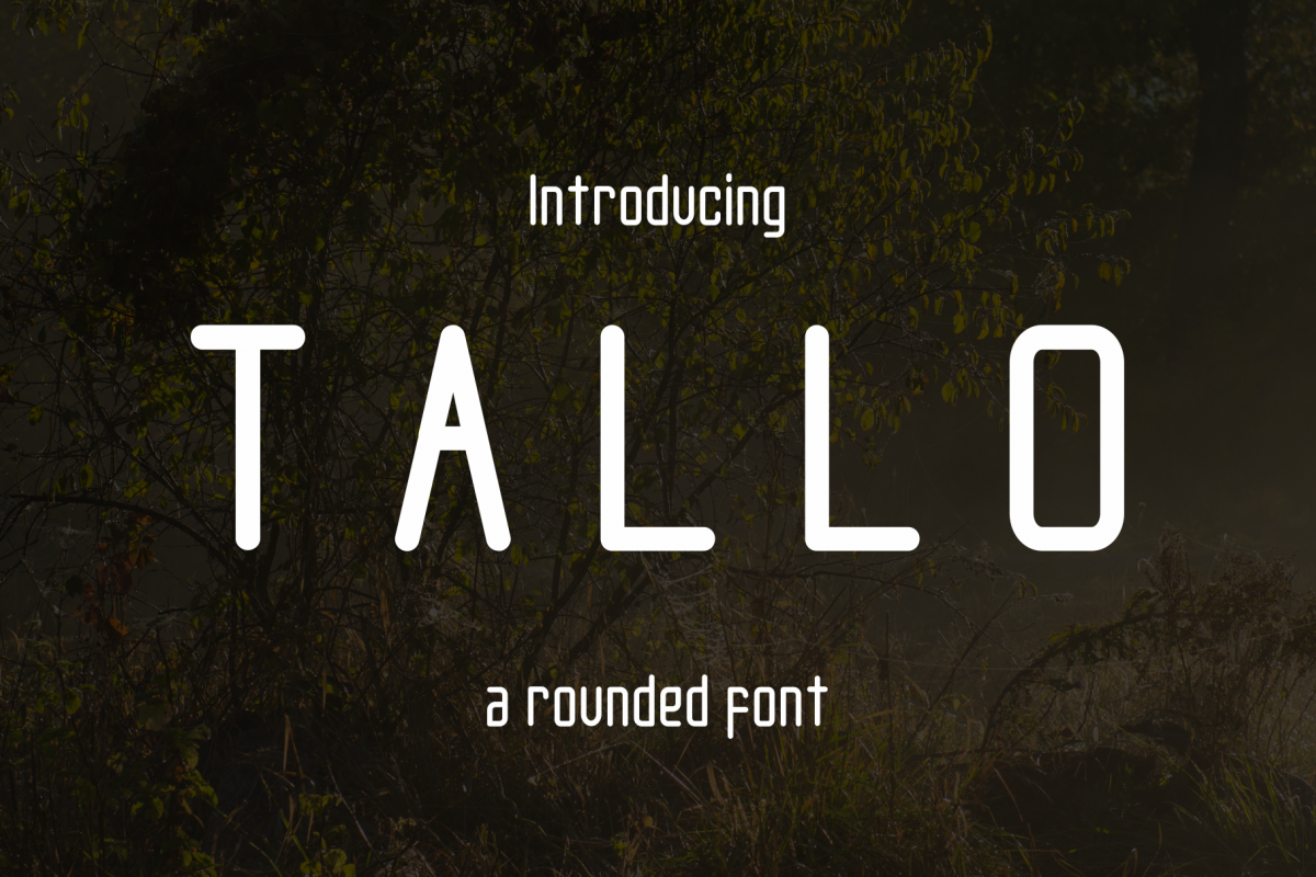 Tallo Font example image 1