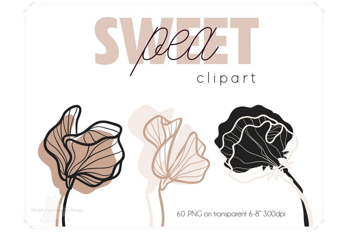 Sweet Pea Clipart - Floral Clip Art - Outline Botanical example image 1