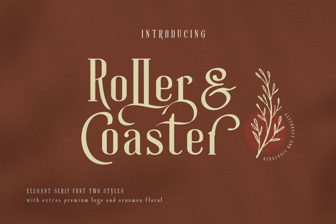 Roller Coaster Elegant Serif Extra example image 1