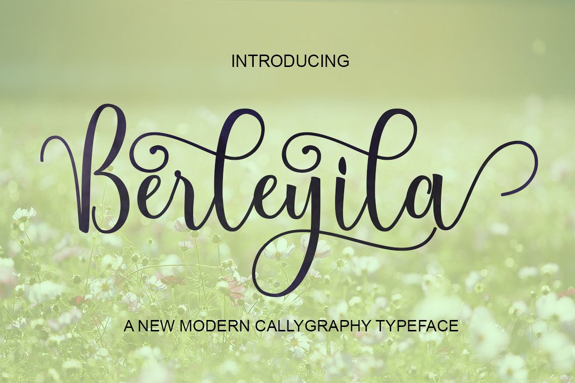 Berleyila example image 1