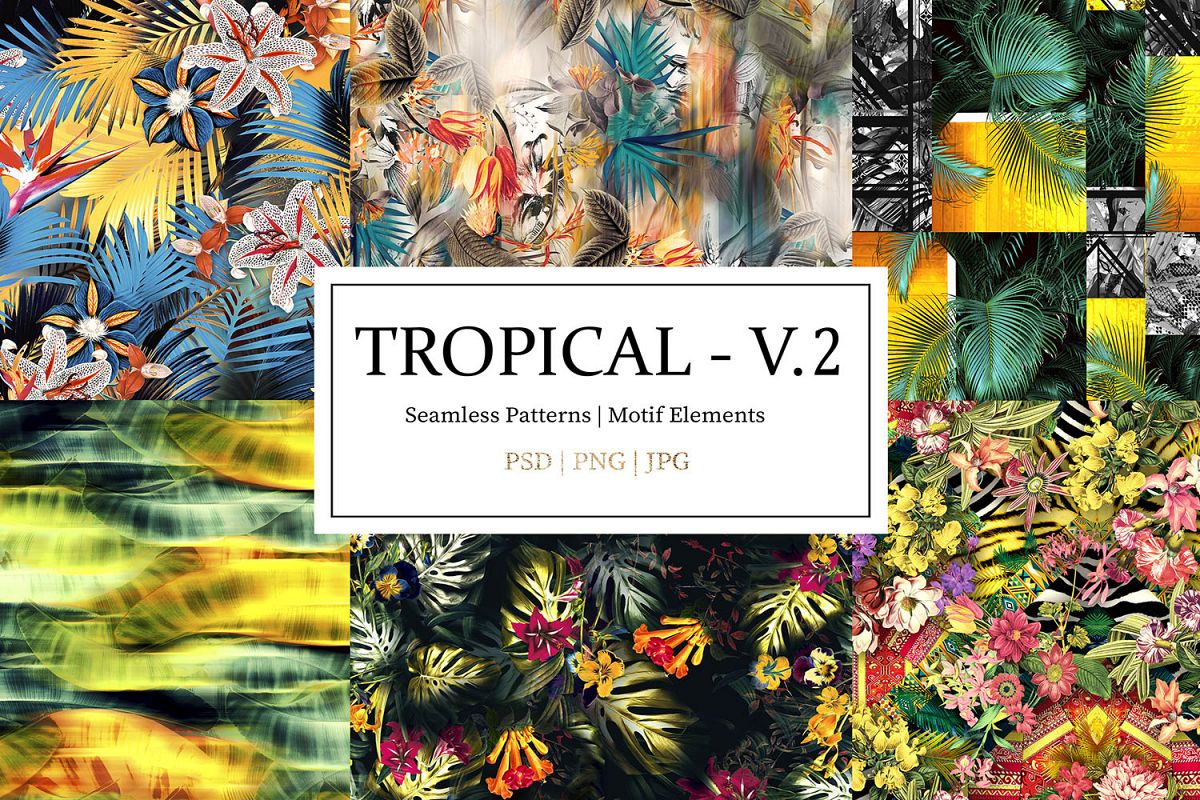 TROPICAL - V.2 example image 1