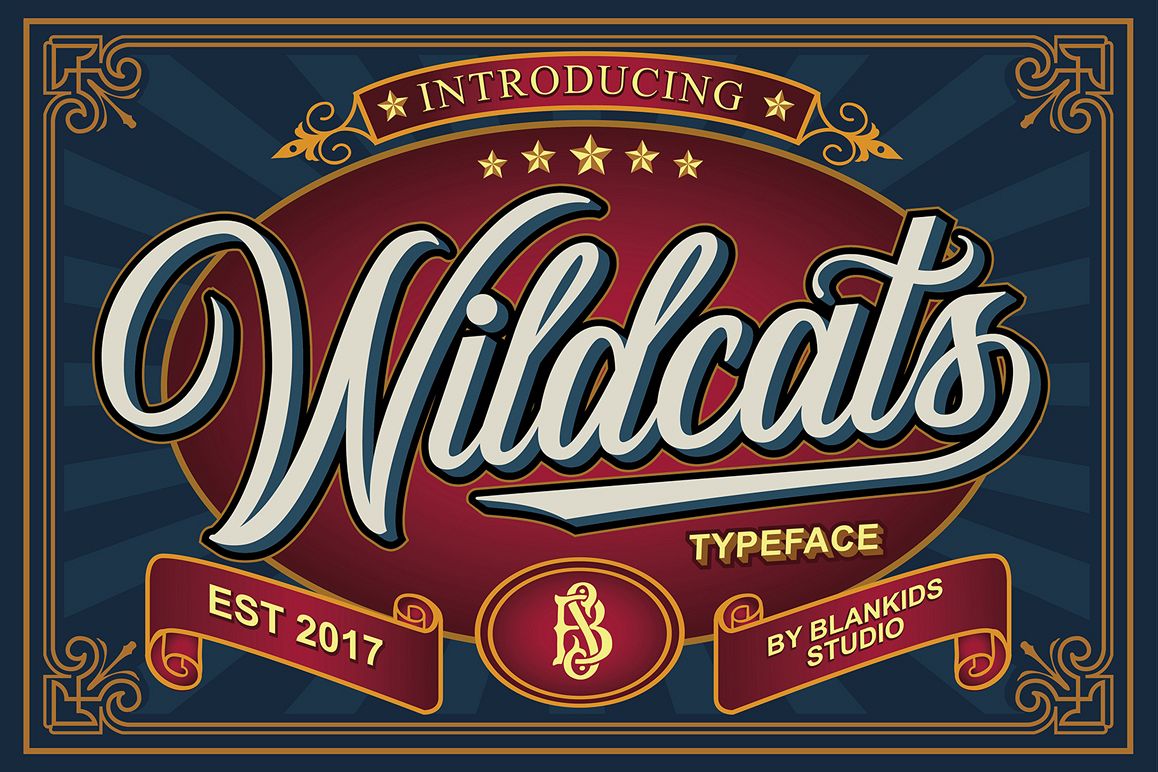 Wildcats Typeface (40% off) example image 1