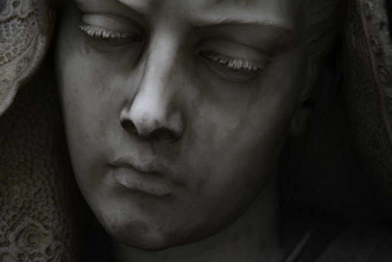 Beautiful Sculpted Visage#1 example image 1