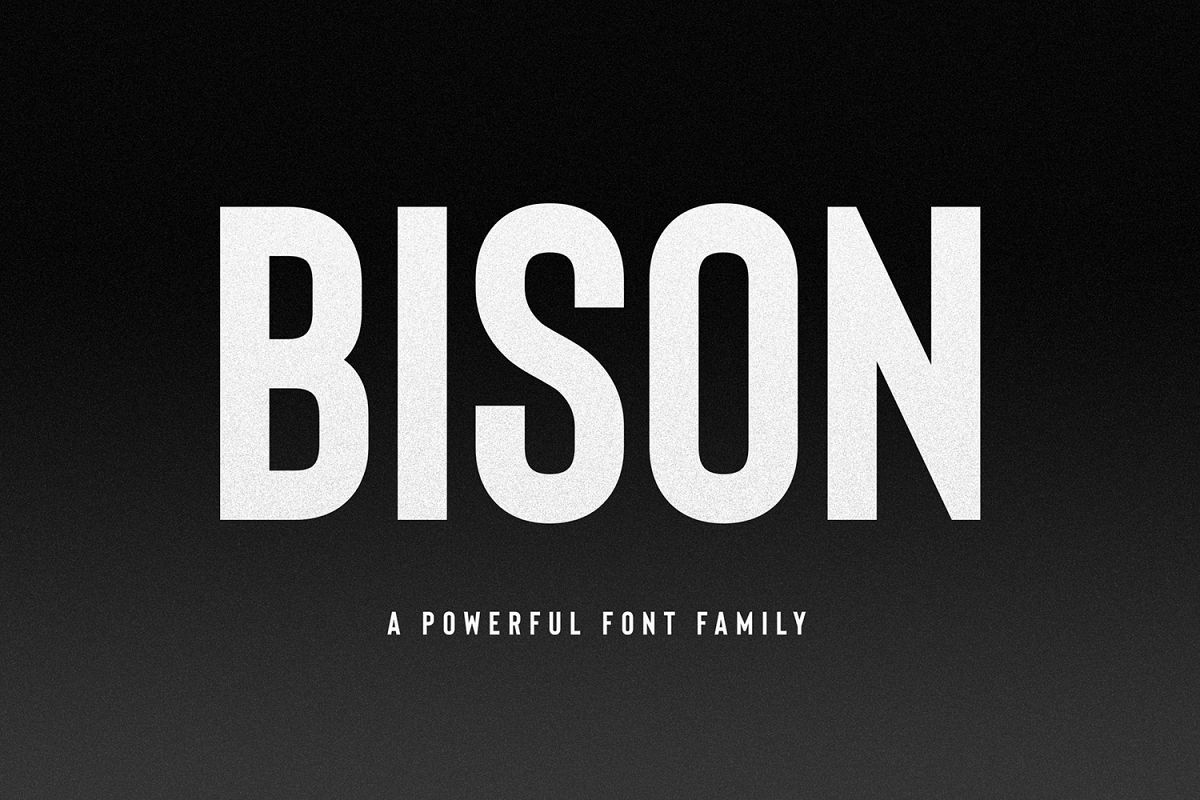 Bison - A powerful font example image 1
