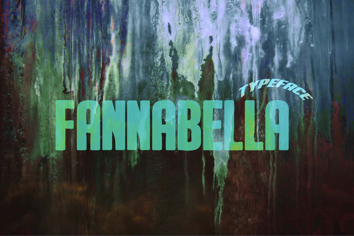 FannaBella Typeface example image 1